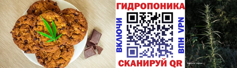 Canna-Cookies марихуана  Купить закладки  Елизово 