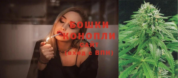 прущие крисы Каменка