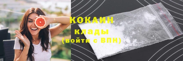 прущие крисы Каменка