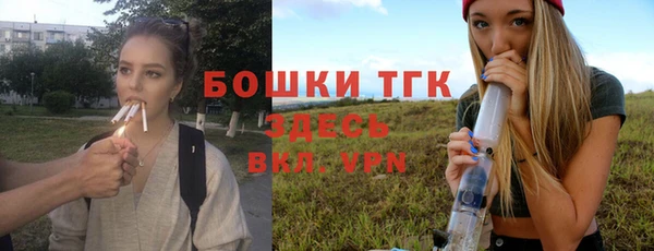 spice Касимов